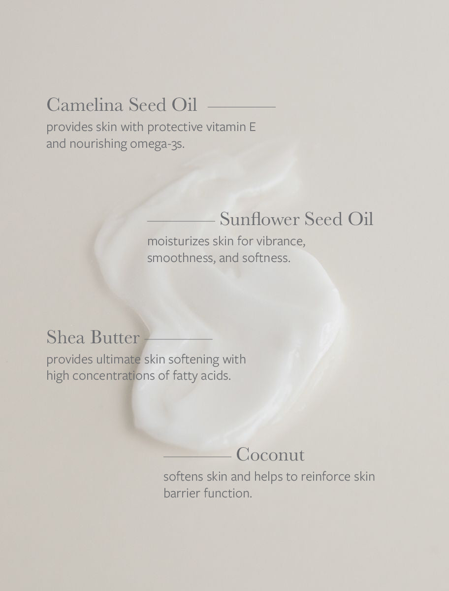 Plant-Based Lightweight Body Moisturizer - The Wander Parlour Seed Phytonutrients Body
