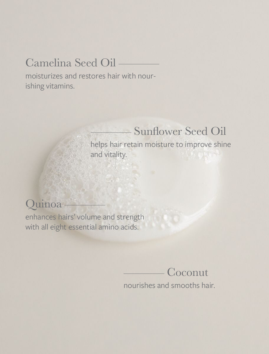 Plant-Based Everyday Conditioner - The Wander Parlour Seed Phytonutrients Conditioner