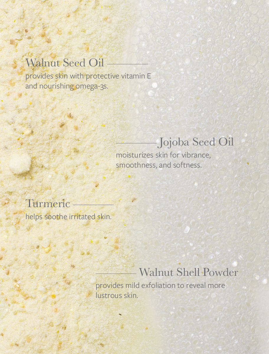 Plant-Based Exfoliating Body Cleansing Powder - The Wander Parlour Seed Phytonutrients